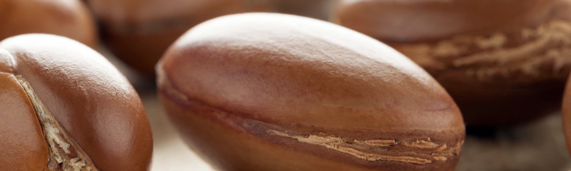 Back To The Future Traditional Active Ingredients That Still Amaze Article