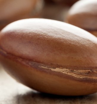 Back To The Future Traditional Active Ingredients That Still Amaze Article