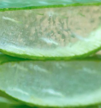Three Aloe Vera Face Mask Recipes To Whip Up At Home Hero